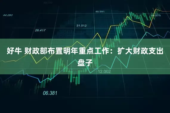 好牛 财政部布置明年重点工作：扩大财政支出盘子