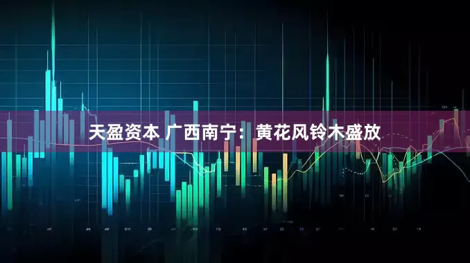 天盈资本 广西南宁：黄花风铃木盛放